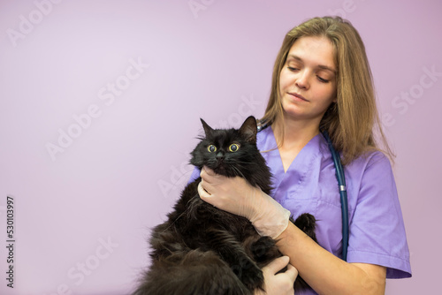 female veterinarian holding a black cat in her arms