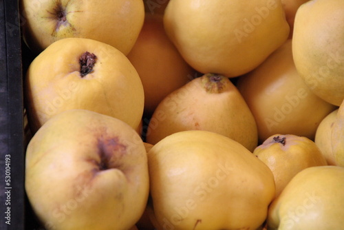 Quitten werden im Spätherbst 2020 in Mannheim zum Verkauf angeboten