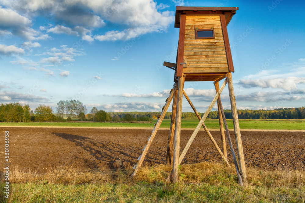 Landscape with hunting lodge in middle of  meadow