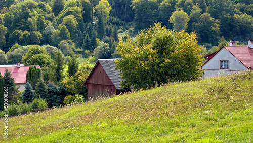 Fototapeta Naklejka Na Ścianę i Meble -  Bieszczady. Widok na obszary wiejskie.