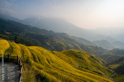 Longji Rice Terraces in China Sunrise view photo
