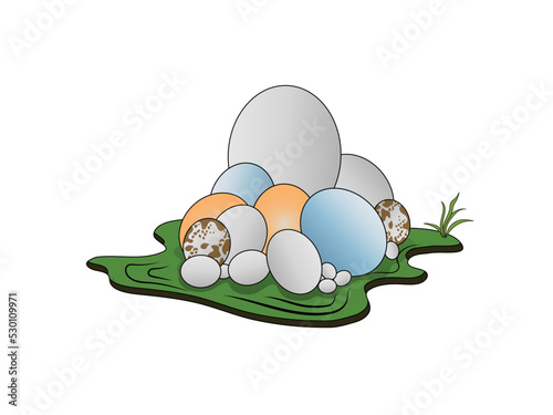 various eggs size.  duck egg, hens egg, swan egg,  lizard egg.