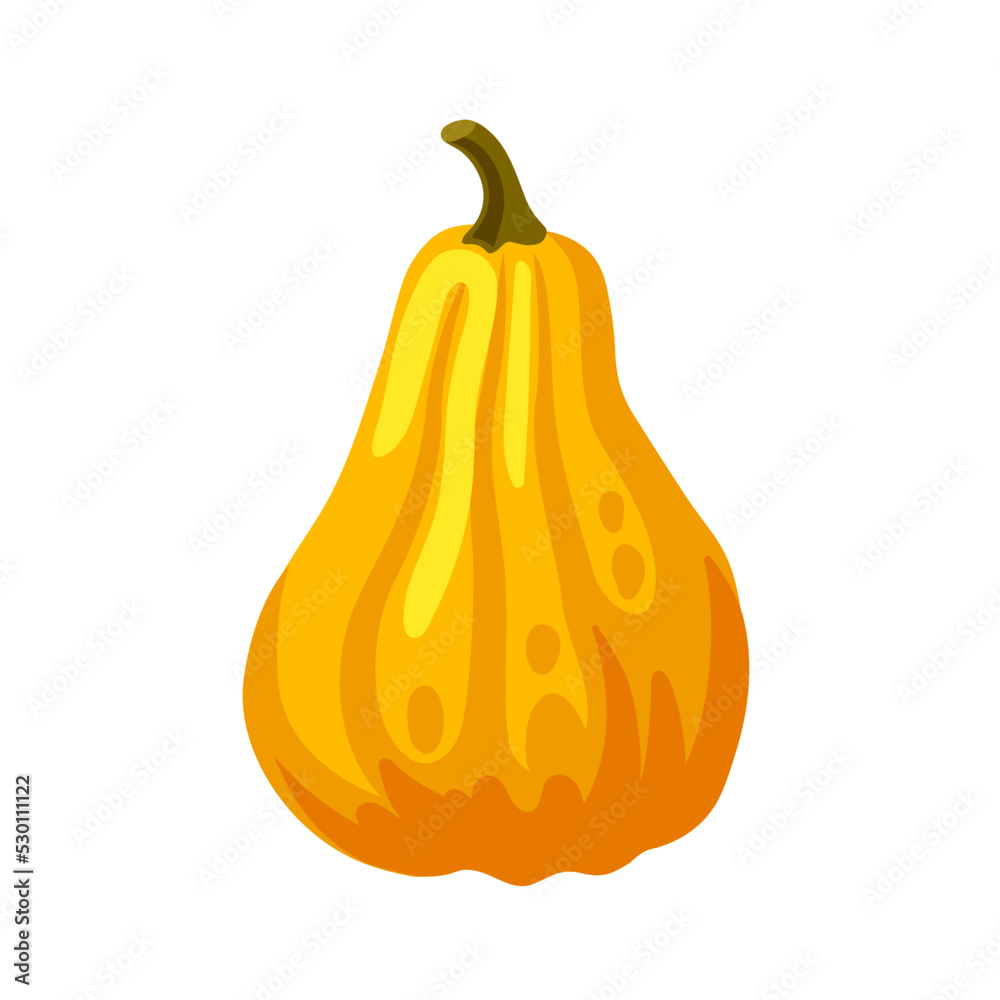 Decorative orange squash isolated on white background. Pumpkin, gourd vegetable. Hand drawn cartoon vector illustration. Decorative orange squash isolated on white background. Pumpkin, gourd vegetable. Hand drawn cartoon vector illustration.