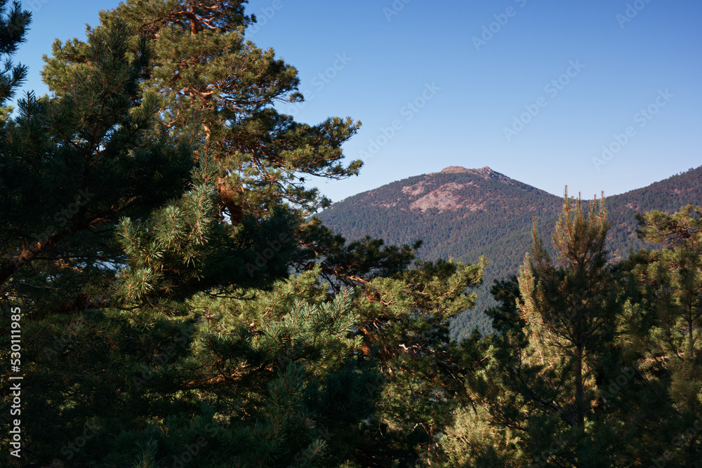 góry widok krajobraz drzewa natura lato - obrazy, fototapety, plakaty 