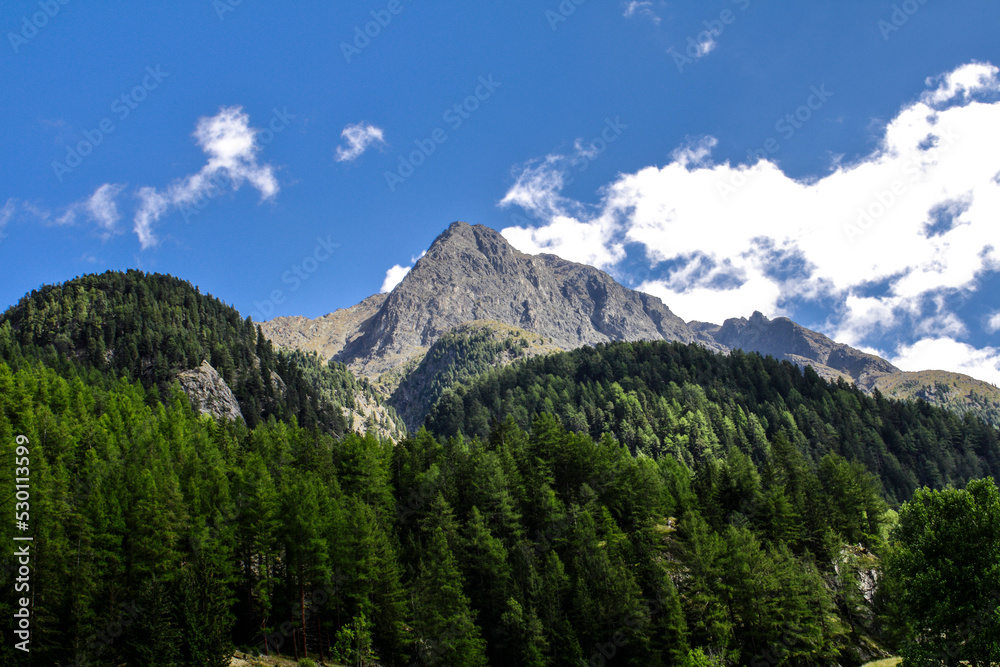 Obraz premium Ötztalpanorama