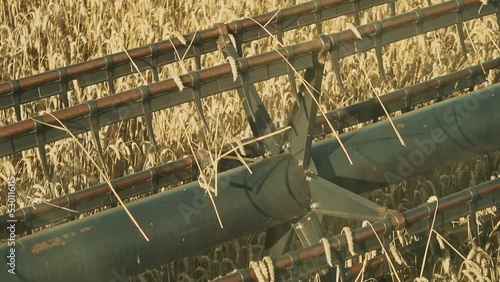 Close-up of part of combine working on field, cutting grain crop in countryside during harvest. View of golden ears of wheat. Countryside. Daytime, summer, sunny day