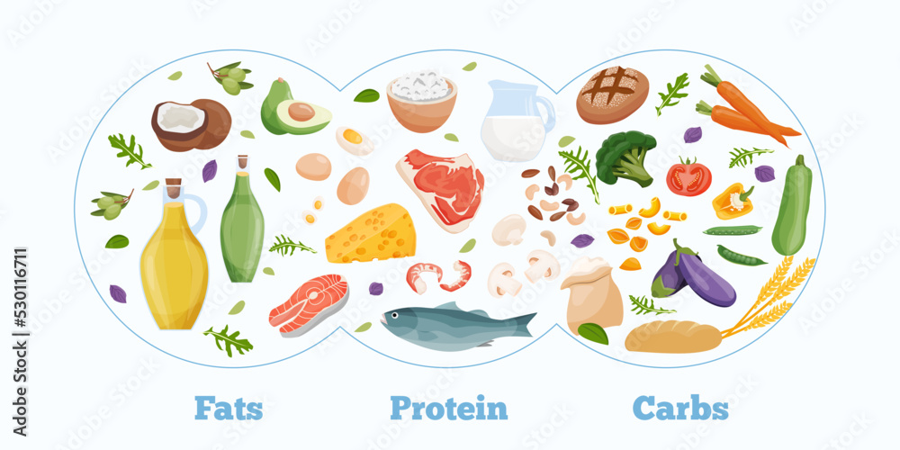 Set of healthy macronutrients. Proteins, fats and carbs presented by food products. Vector illustration of nutrition categories. Balanced nutrition. Healthy food