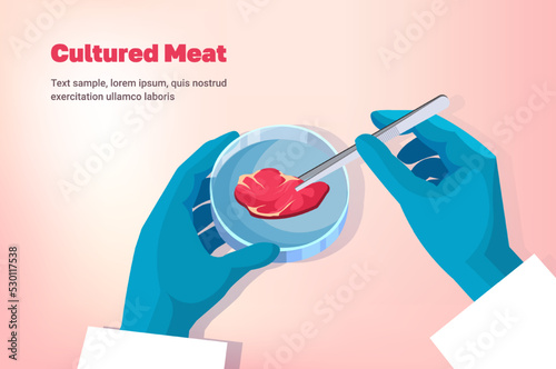 scientist holding cultured red raw meat made from animal cells artificial lab grown meat production concept