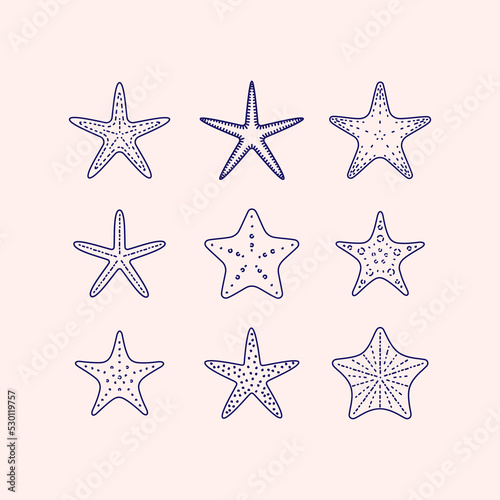 Starfish illustration. Stylized vector element for prints, clothing, pattern, packaging and postcards.
