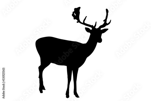 the figure of a deer is black on a white background