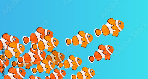 School of clownfish swims in ocean. Shoal of fish swimming under water of sea. Coral reef dweller.