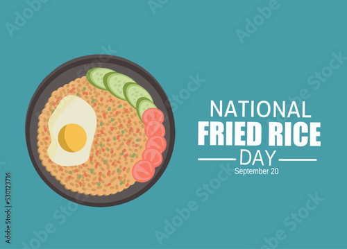 National fried rice day vector illustration, suitable for web banner or poster campaign