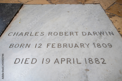 Fototapeta Charles Robert Darwin tomb in Westminster Abbey