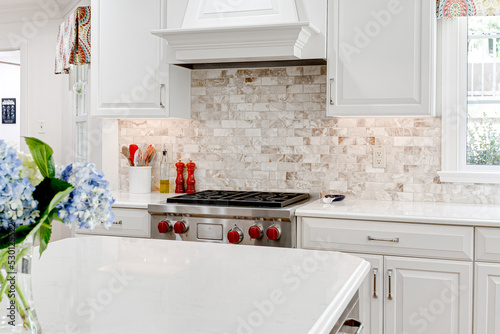 Modern luxury kitchen stove range interior gas appliance oil salt and pepper wolf stove