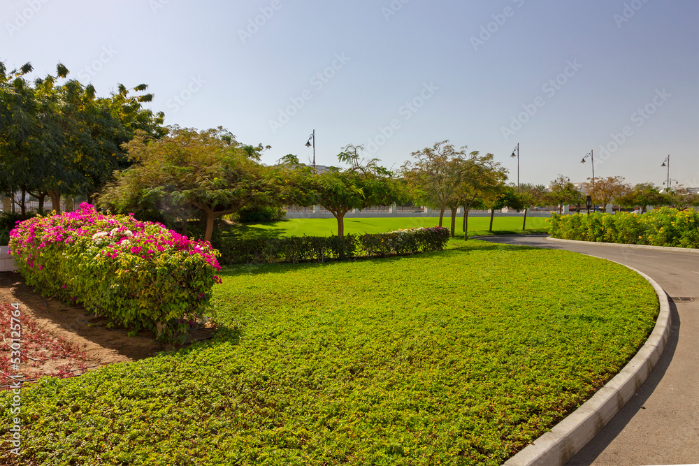 Muscat city garden landscape, road in Oman