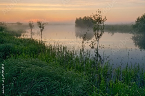 misty morning on the river