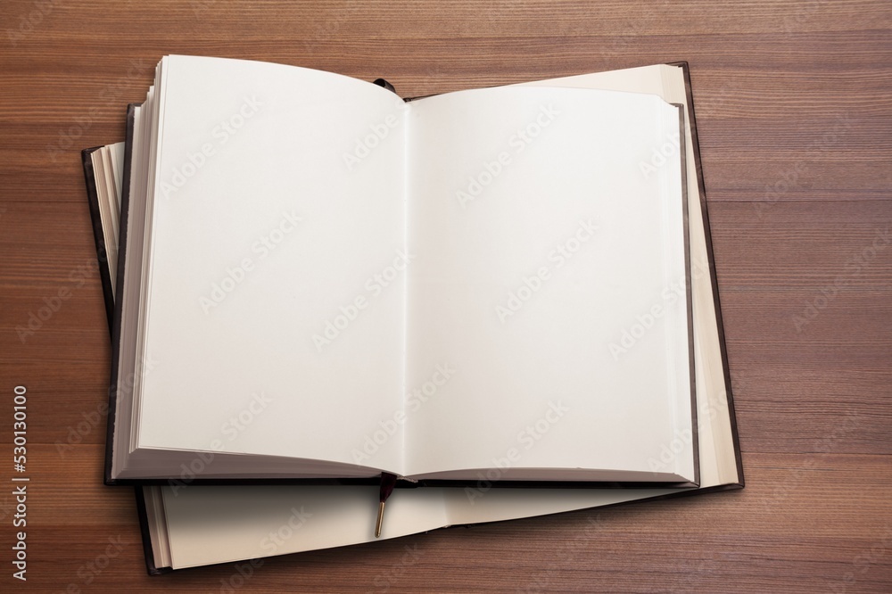 Empty open books with blank pages. Empty open books with blank pages.