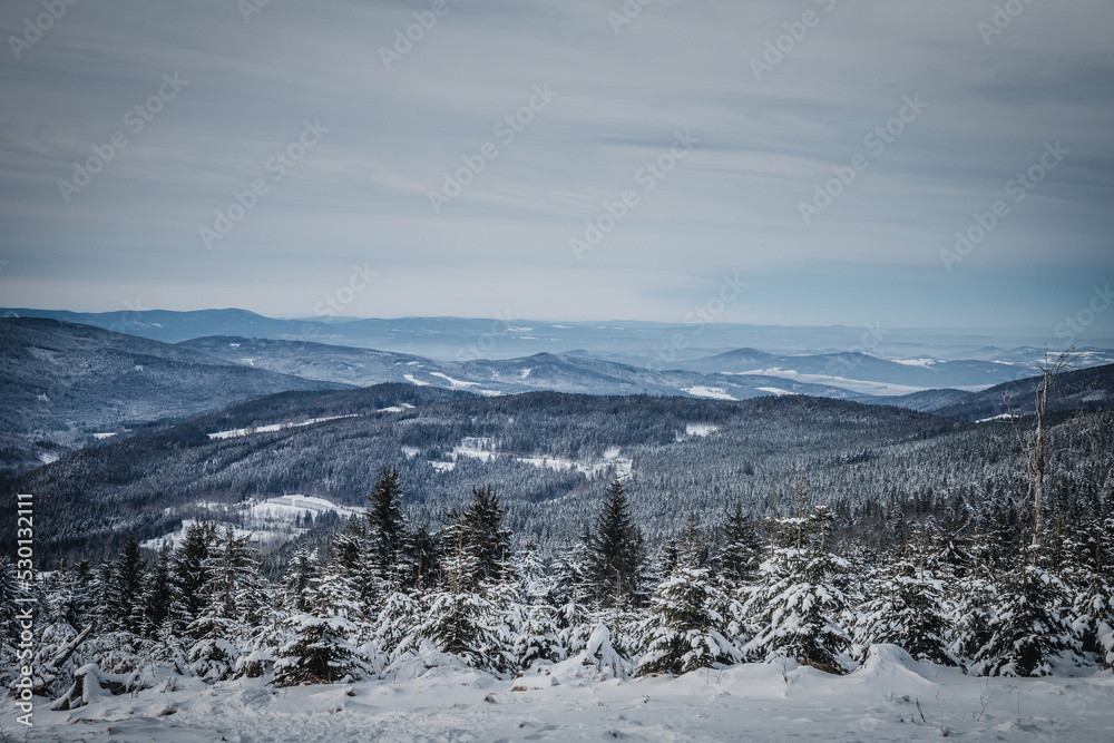 Sumava winter landscape