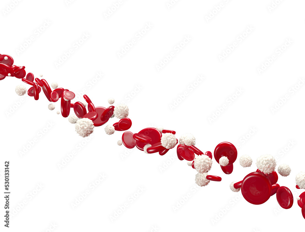 3d red blood cells and white blood cells flowing through vein Stock ...