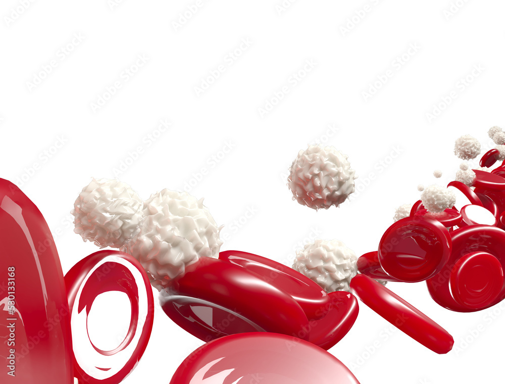 3d red blood cells and white blood cells flowing through vein Stock ...
