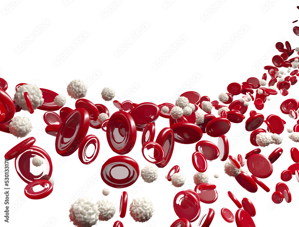 3d red blood cells and white blood cells flowing through vein Stock ...