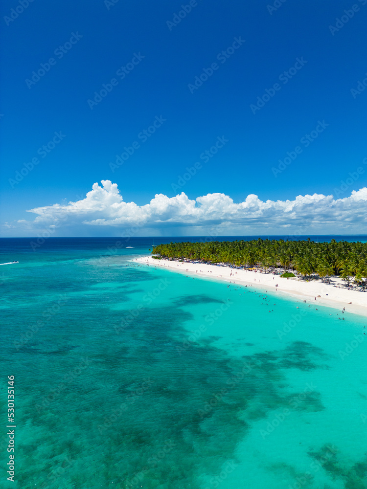 Tropical Island View from above showing a sandy beach and palm trees along the shore line.