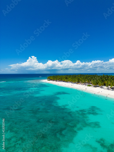 Fototapeta Naklejka Na Ścianę i Meble -  Tropical Island View from above showing a sandy beach and palm trees along the shore line.