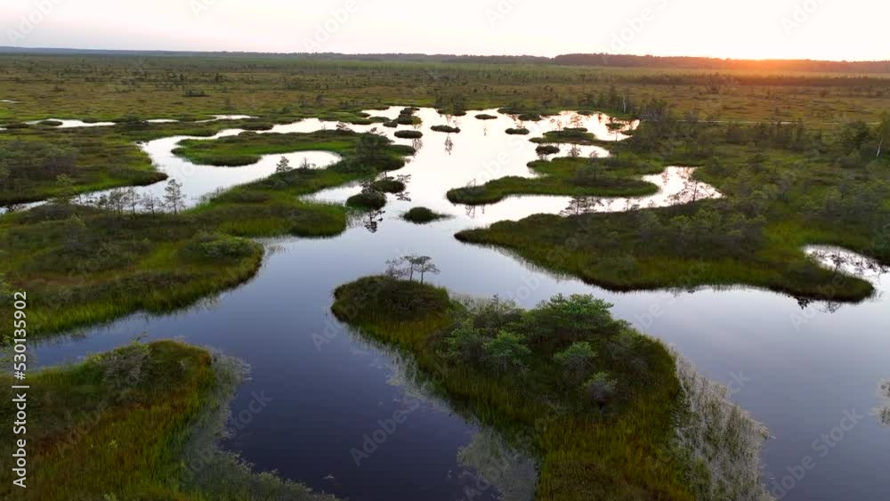 Swamp Yelnya on sunset landscape. Wild mire of Belarus. East European swamps and Peat Bogs. Ecological reserve in wildlife. Marshland with islands and pine trees. Swampy land and wetland, marsh, bog. Swamp Yelnya on sunset landscape. Wild mire of Belarus. East European swamps and Peat Bogs. Ecological reserve in wildlife. Marshland with islands and pine trees. Swampy land and wetland, marsh, bog.