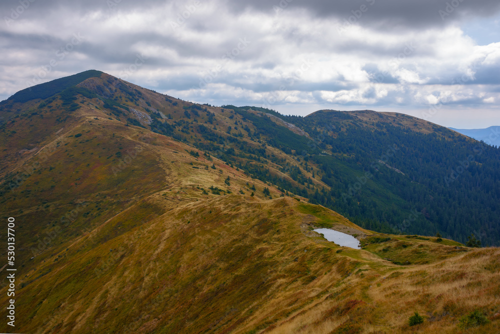 Fototapeta premium mountain landscape on a cloudy autumn day. peak in the distance. grassy meadows and forested hills