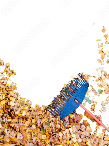 Фотография Pile of fall leaves with fan rake isolated on transparent background