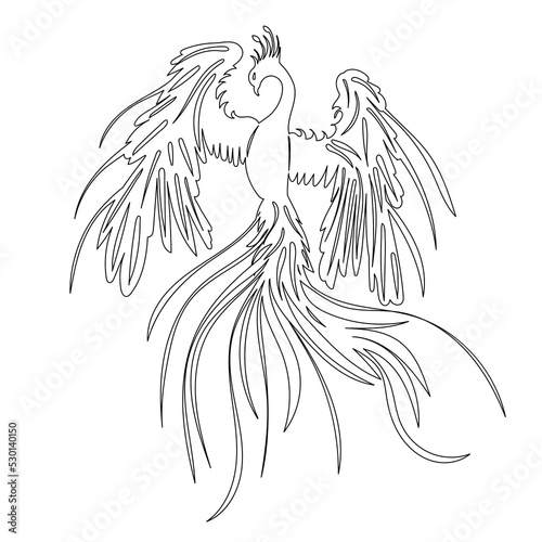 phoenix bird sketch ,outline isolated vector