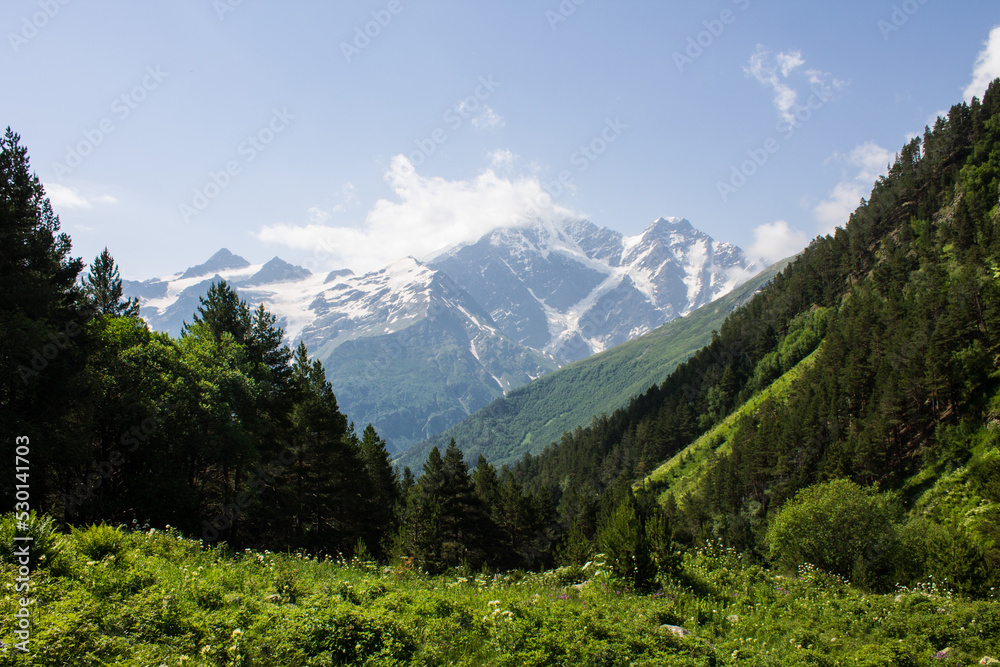 Beautiful mountain landscape - snow-capped peaks with glaciers and green slopes with trees on a sunny summer day in the Elbrus region in the North Caucasus in Russia