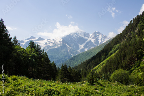 Beautiful mountain landscape - snow-capped peaks with glaciers and green slopes with trees on a sunny summer day in the Elbrus region in the North Caucasus in Russia
