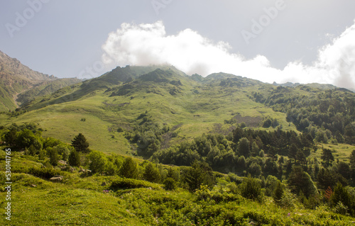 Beautiful landscape - green mountain slopes with trees and white clouds on a blue sky on a sunny summer day in the Terskol valley in the Elbrus region