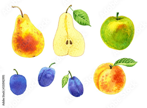 Fototapeta Naklejka Na Ścianę i Meble -  Set of watercolor fruits pear apple plums peach. Juicy and colorful. Hand drawn illustration. 
