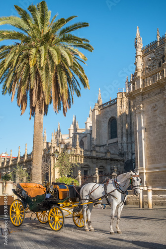 Horse carriage in Seville near ther Giralda cathedral, Andalusia, Spain photo