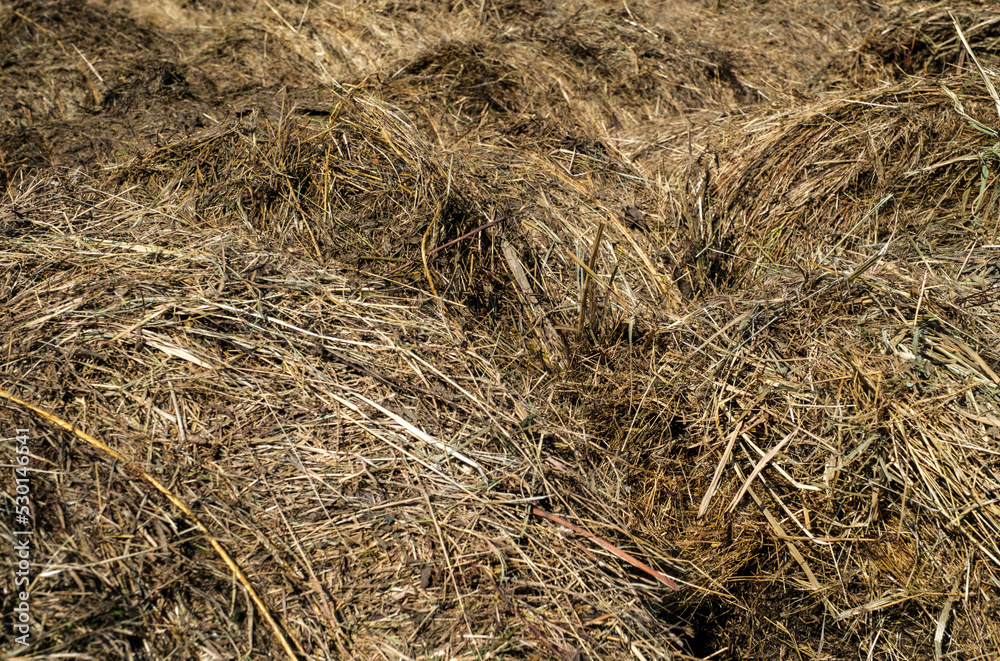  Hooibalen || Hay bales