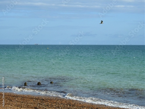 A view of a small fragment of the beach, the horizon at sea and a flying bird photo