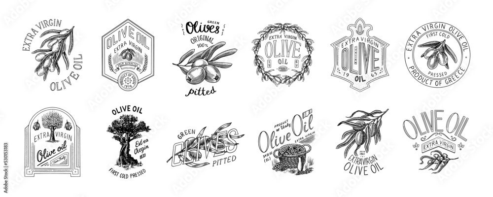 Set of Olive oil and branch of trees logo. Organic vegetarian product in bottle. Green plant badge emblem patch sticker. Engraved hand drawn in old vintage sketch. Vector illustration. Set of Olive oil and branch of trees logo. Organic vegetarian product in bottle. Green plant badge emblem patch sticker. Engraved hand drawn in old vintage sketch. Vector illustration.
