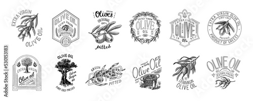 Set of Olive oil and branch of trees logo. Organic vegetarian product in bottle. Green plant badge emblem patch sticker. Engraved hand drawn in old vintage sketch. Vector illustration.