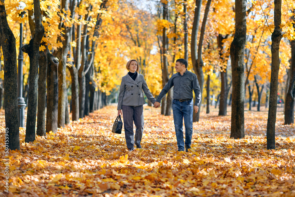 portrait of a romantic couple in an autumn city park, a man and a woman walking and posing against the background of yellow maple leaves, a bright sunny day portrait of a romantic couple in an autumn city park, a man and a woman walking and posing against the background of yellow maple leaves, a bright sunny day