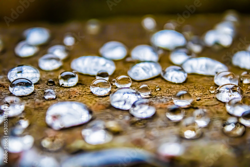 Gotas de chuva na madeira photo