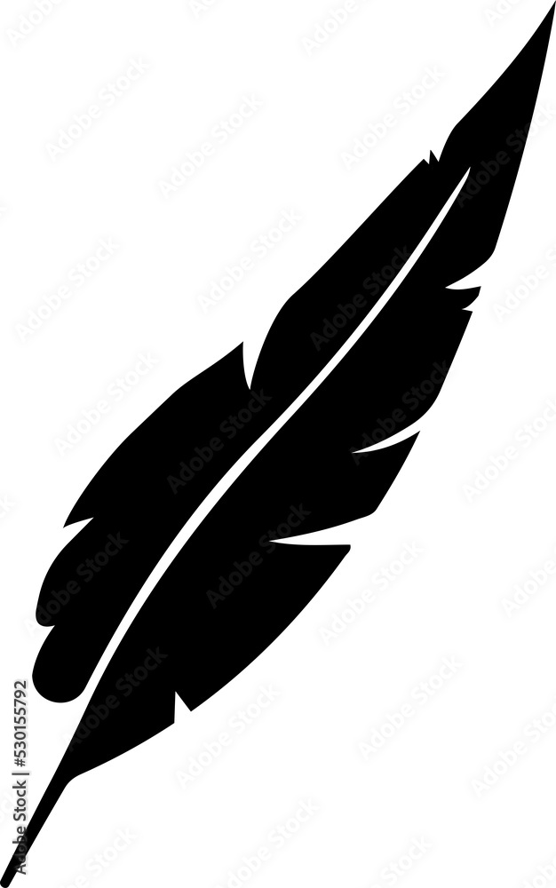 Obraz premium Feathers icon