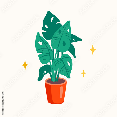 Monstera plant in a pot vector flat illustration. Tropical interior palm, hou...