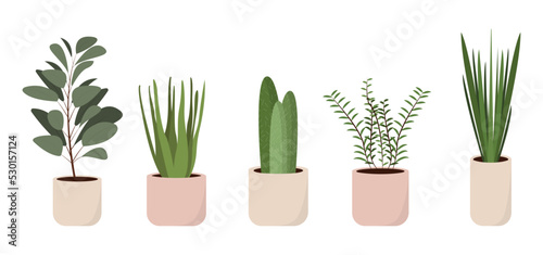 Set of colorful flower pots in cartoon style. Vector illustration of plants for home and office interiors on white background.