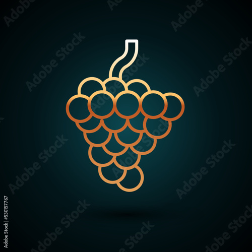 Gold line Grape fruit icon isolated on dark blue background. Vector