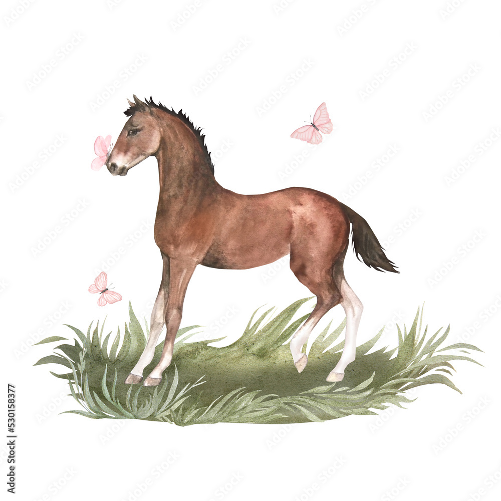 Watercolor illustration of bay foal standing in green grass with pink butterfly Watercolor illustration of bay foal standing in green grass with pink butterfly