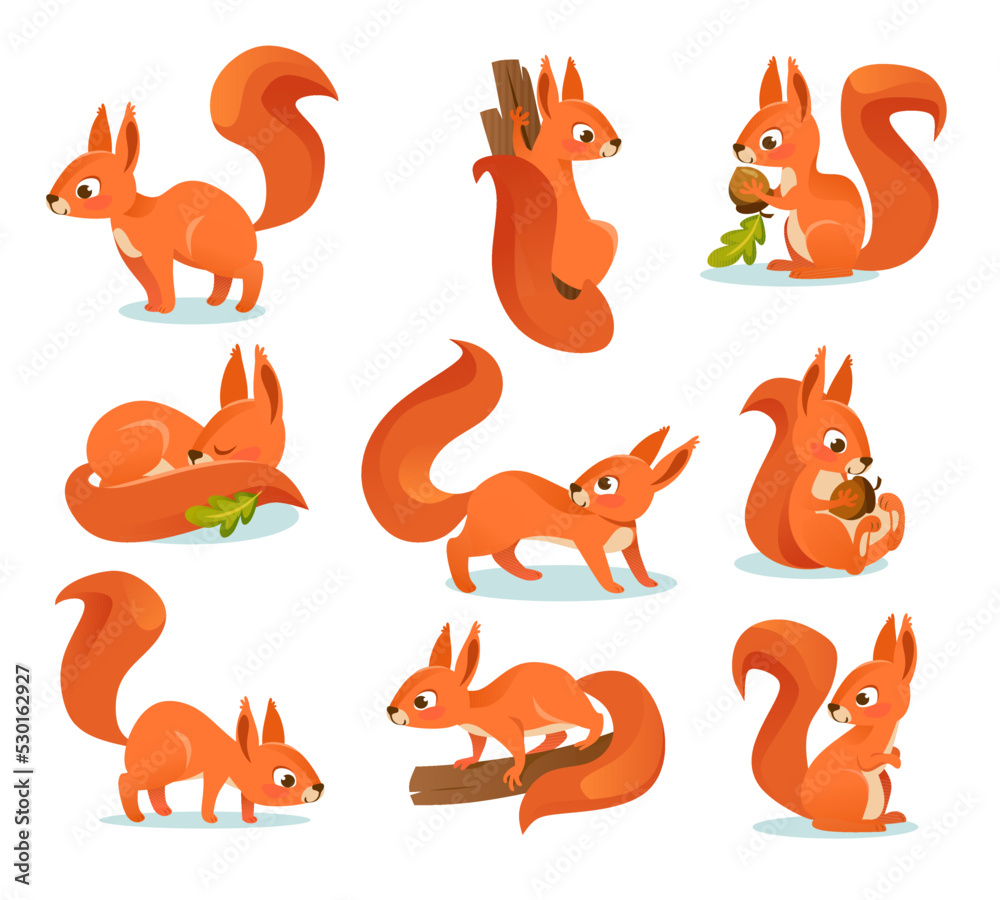 Funny red squirrels character set. Collection of cute animal illustrations.  Sleeping squirrel, on a branch, with an acorn, holding a nut, with a puffy  tail. Cartoon style vector illustration. Stock Vector |