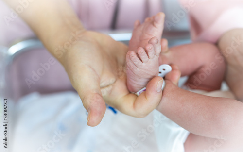 Mother holding newborn baby feet in hands  in hospital with identification bracelet tag name