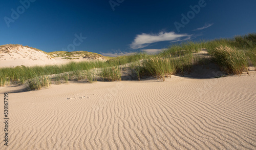 sand dunes in the desert in Poland